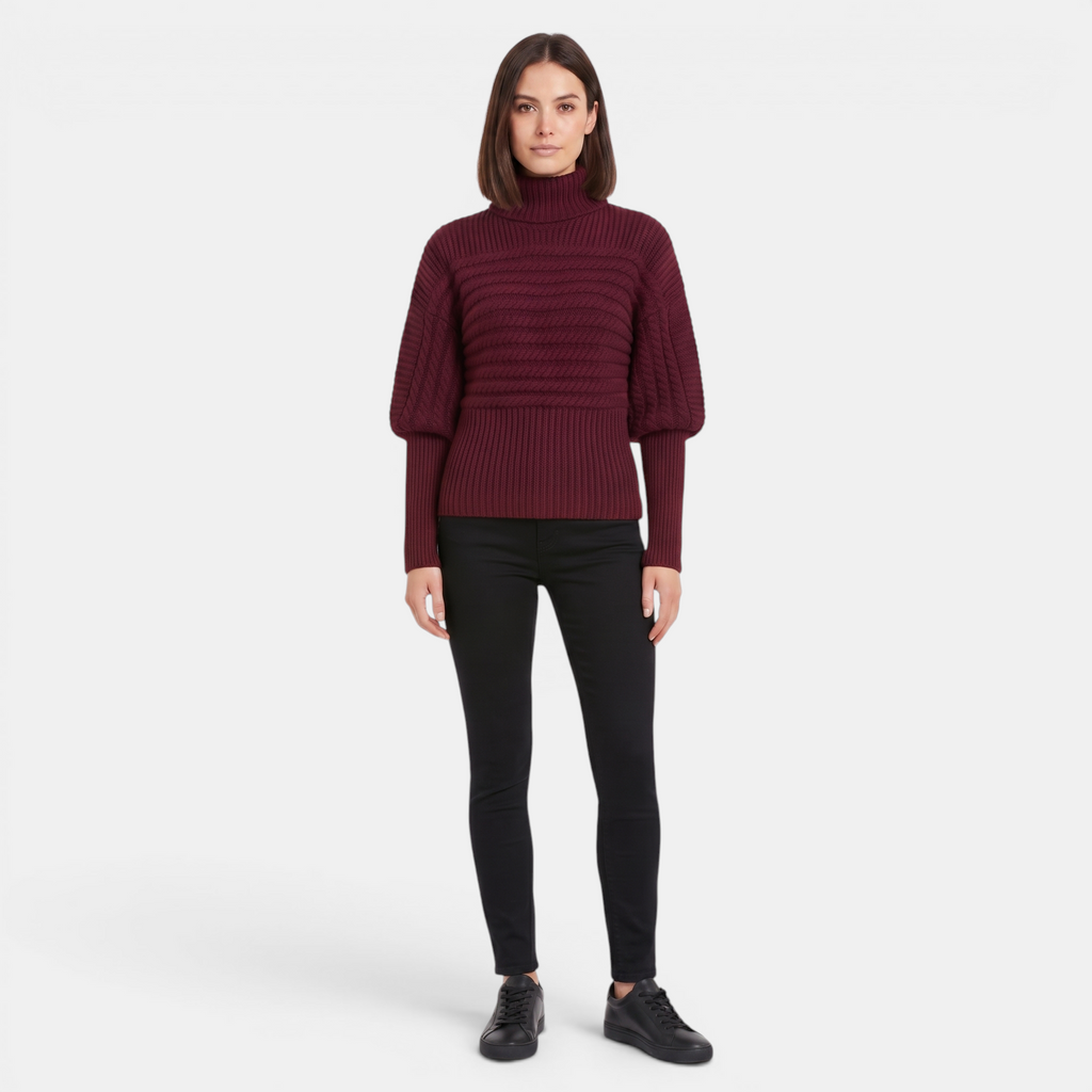 Valeniri | Women’s High Neck Knit Pullover Sweater
